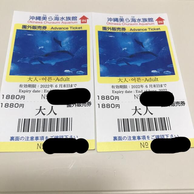 沖縄美ら海水族館チケット　大人2名 チケットの施設利用券(水族館)の商品写真