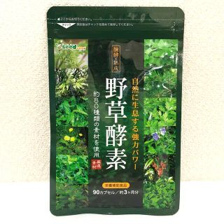 野草酵素 野菜酵素 サプリメント約3ヵ月分 やさい酵素 美容 ダイエット(アミノ酸)