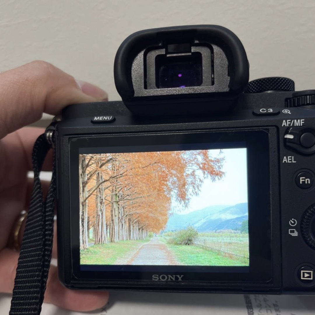 SONY - sony a7ii 一眼ミラーレスカメラ ILCE-7M2 ボディの通販 by