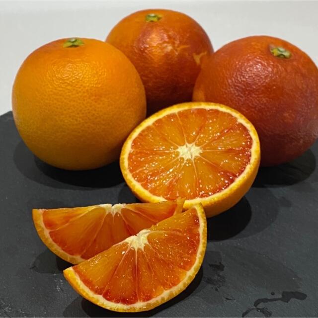 愛媛県産ブラッドオレンジ 食品/飲料/酒の食品(フルーツ)の商品写真