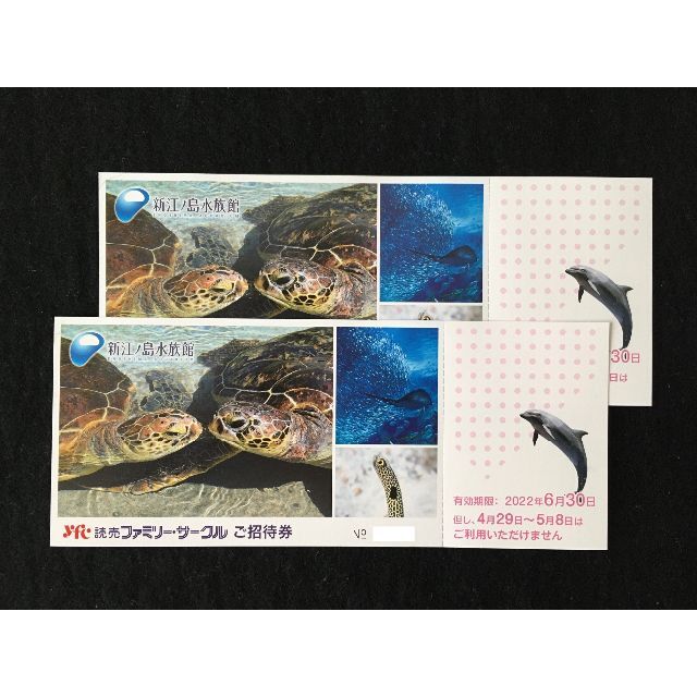 新江ノ島水族館 ご招待券【2枚】の通販 by ポンタ's shop|ラクマ 新江ノ島水族館 ご招待券【2枚】の通販 by ポンタ's shop|ラクマ