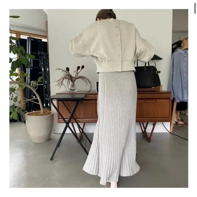 willfully  new pleats mermaid knit SK レディースのスカート(ロングスカート)の商品写真