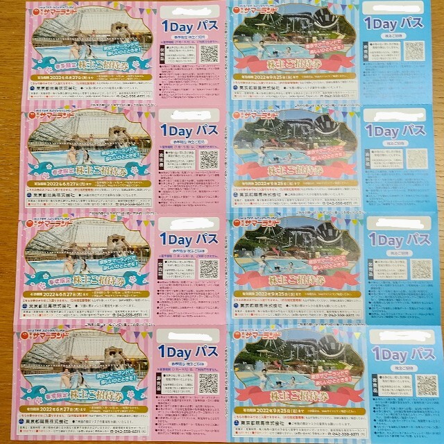 東京サマーランド 株主優待券 チケットの優待券/割引券(その他)の商品写真