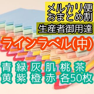 ラインラベル 中 10色500枚 園芸ラベル カラーラベル 多肉植物 エケベリア(その他)