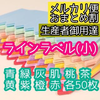 ラインラベル 小 10色500枚 園芸ラベル カラーラベル 多肉植物 エケベリア(その他)