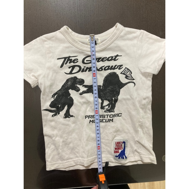 F.O.KIDS(エフオーキッズ)の恐竜　Tシャツ　110cm キッズ/ベビー/マタニティのキッズ服男の子用(90cm~)(Tシャツ/カットソー)の商品写真