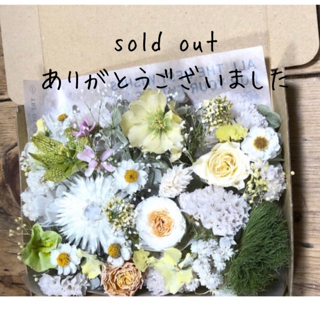 ドライフラワー花材set♡ホワイト系#W3 - ドライフラワー ドライフラワー花材set♡ホワイト系#W3 - ドライフラワー