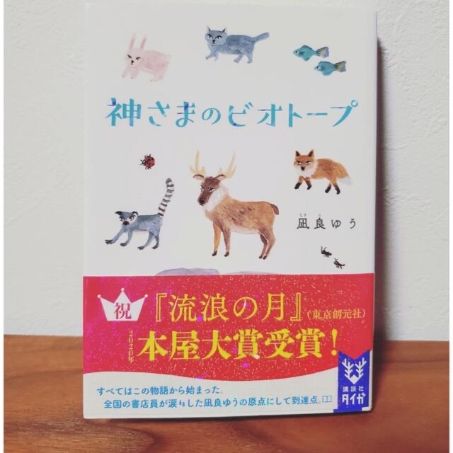 講談社(コウダンシャ)の神様のビオトープ、すみれ荘ファミリア エンタメ/ホビーの本(文学/小説)の商品写真