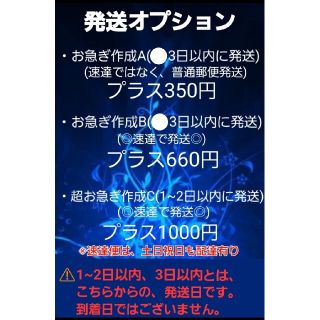 ？様専用ページ ハンドメイドのアクセサリー(ネイルチップ)の商品写真