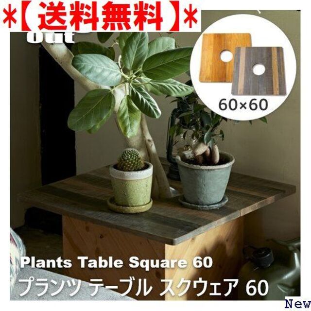 送料無料】 PLT Plants Table Squar ント 観葉植物 82