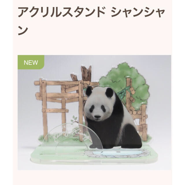 新発売 上野動物園 8点セット シャオシャオ レイレイ シャンシャン
