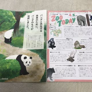 新発売 上野動物園 8点セット シャオシャオ レイレイ シャンシャン ...