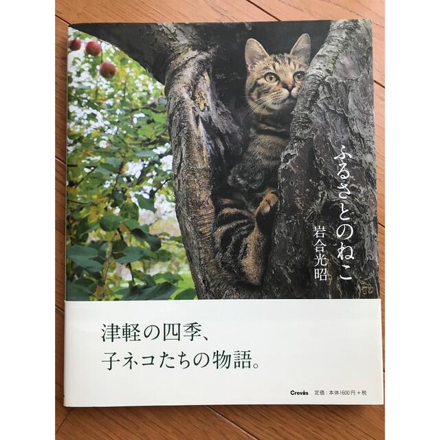 岩合光昭:ねこ歩き・ふるさとのねこ・ねこ禅 エンタメ/ホビーの本(アート/エンタメ)の商品写真