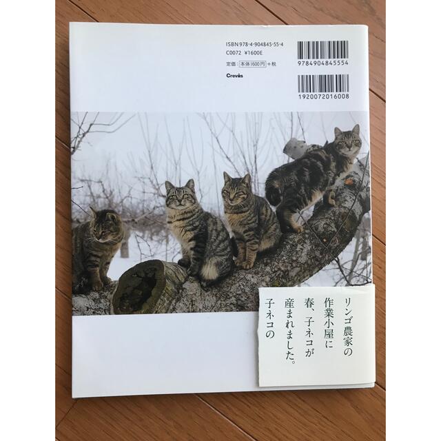 岩合光昭:ねこ歩き・ふるさとのねこ・ねこ禅 エンタメ/ホビーの本(アート/エンタメ)の商品写真