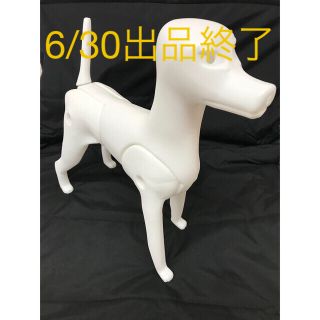 犬　マネキン　カット練習（パーツ全て有）(おもちゃ/ペット小物)