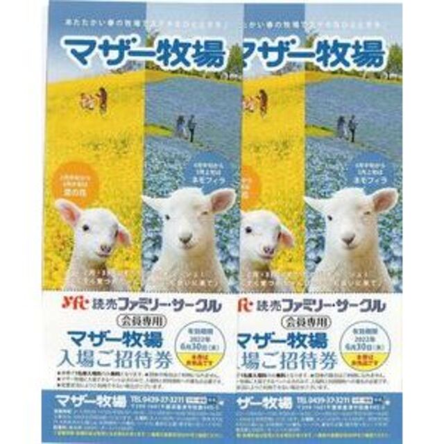 送料無料マザー牧場入場ご招待券2枚セットBの通販 by ひろぴん's shop|ラクマ 送料無料マザー牧場入場ご招待券2枚セットBの通販 by ひろぴん's shop|ラクマ