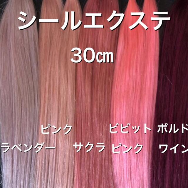 上質で快適 シールエクステ 52 メッシュエクステ カラーエクステ ilam.org