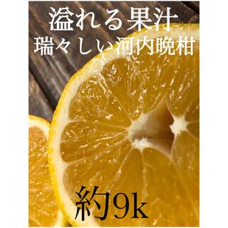 愛媛県産 みかん 家庭用 河内晩柑 約9kg 柑橘 ミカン 果物(フルーツ)