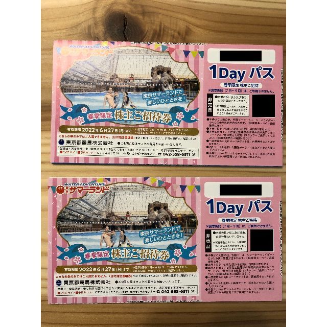 遊園地/テーマパーク東京サマーランド 1Dayパス 2セット（16枚）