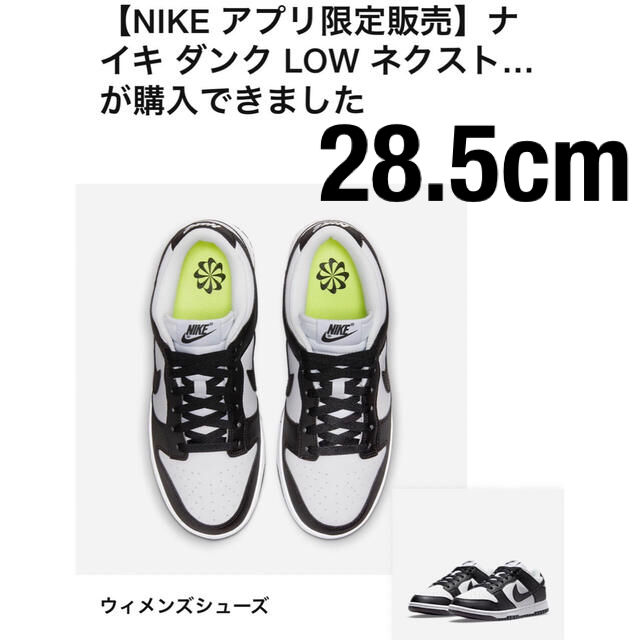 28.5cm  Nike NIKE　ダンク　LOW  ネクストネイチャー　白黒