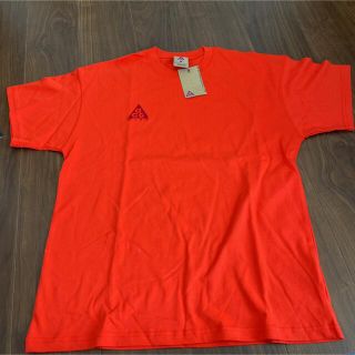 ナイキ(NIKE)のNIKE acg Tシャツ(Tシャツ/カットソー(半袖/袖なし))