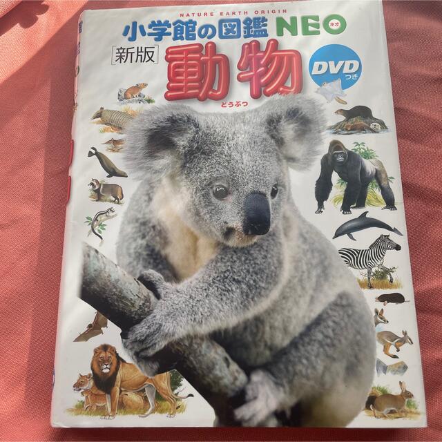 小学館の図鑑　NEO  「動物」　  エンタメ/ホビーの本(絵本/児童書)の商品写真