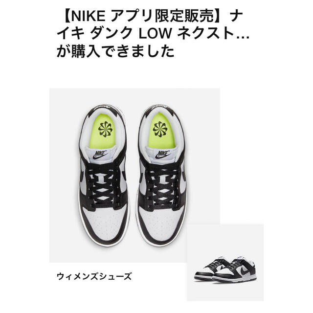 Nike WMNS Dunk Low Next Nature 27cmスニーカー