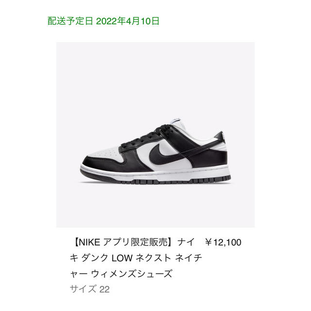 Nike WMNS Dunk Low Next Nature  白/黒　22cm 3