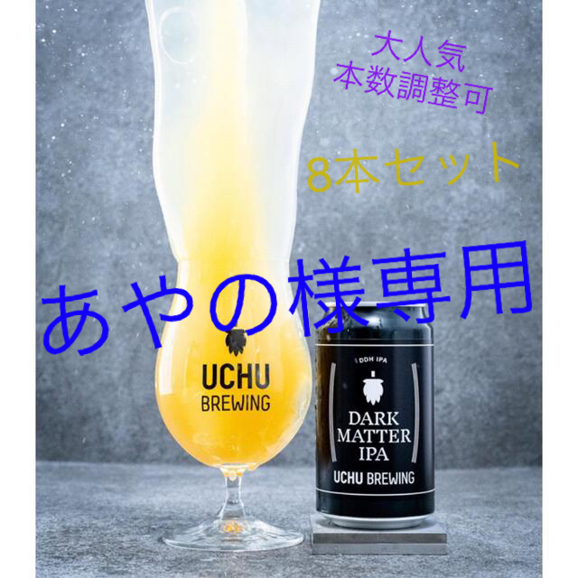 【宇宙ビール】DARK MATTER IPA 8本セット　宇宙ブルーイング