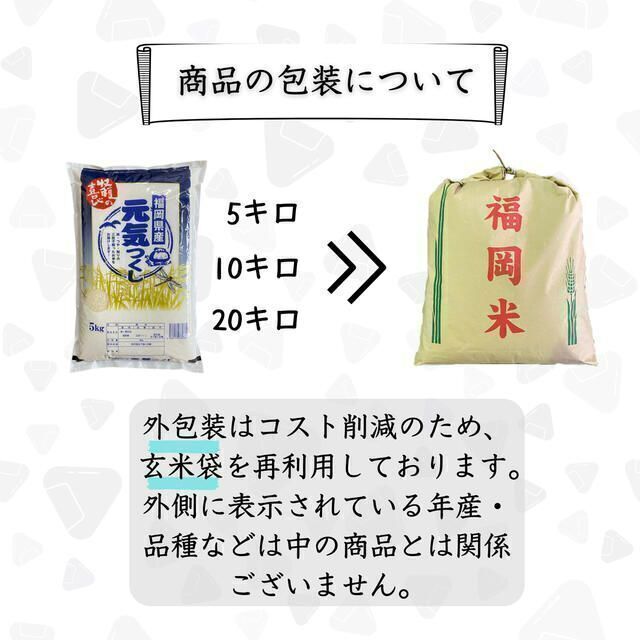 元気つくし 5kg 1等米 特A 厳選米 令和3年 福岡県 元気つくし 5kg 1等米 特A 厳選米 令和3年 福岡県