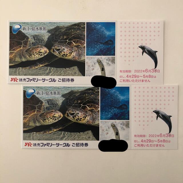 新江ノ島水族館 招待券2枚 有効期限6/30 | drepuno.edu.pe