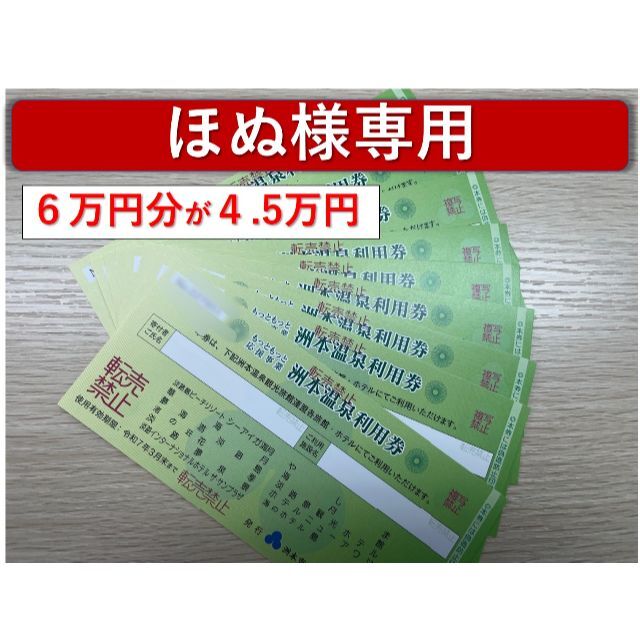 洲本温泉利用券 4万円分 | karasica-vucica.hr