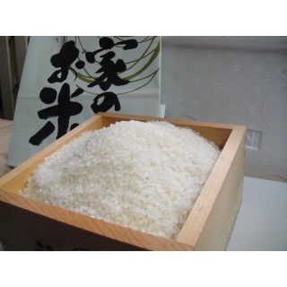 ☆青森弘前農家直送☆白米10キロ☆農家特別米☆特別栽培☆(米/穀物)