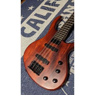 エピフォン(Epiphone)のEpiphone / Toby Deluxe IV Walnut Satin(エレキベース)