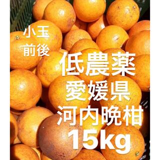 愛媛県産　低農薬　河内晩柑　宇和ゴールド　柑橘　15kg(フルーツ)