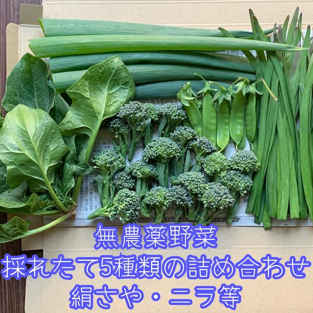 無農薬野菜＊採れたて5種類の詰め合わせ＊野菜セット＊ネコポス＊絹さや・ニラなど＊ 食品/飲料/酒の食品(野菜)の商品写真