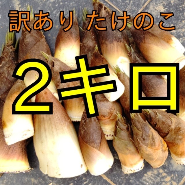 野菜 わけあり 訳あり 傷あり タケノコ 筍 たけのこ 野菜 竹の子 無農薬 食品/飲料/酒の食品(野菜)の商品写真