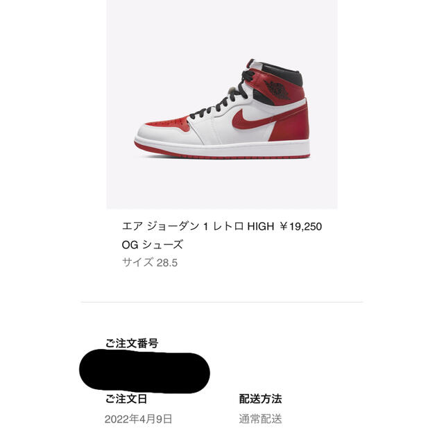 Air Jordan 1 High OG Heritage 28.5cm 1