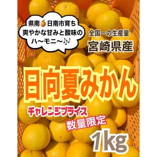【先着5名様❣️限定品】日向夏1㎏/みかん　果物　柑橘　フルーツ　産地直送(フルーツ)