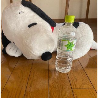 スヌーピー(SNOOPY)の非売品スヌーピーぬいぐるみSNOOPYぬいぐるみ(キャラクターグッズ)