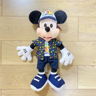 ディズニー(Disney)のカルフォルニアディズニー　disney 2020年限定　ぬいぐるみ(キャラクターグッズ)