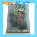楽天市場 ハワイ 絵の通販
