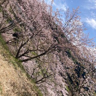 あけちゃん(その他)