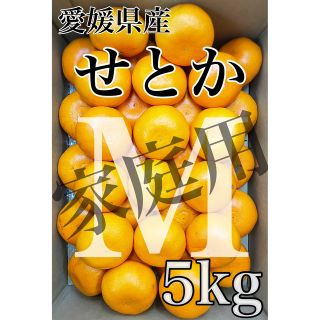 家庭用【せとか】愛媛県産 Mサイズ  5kg！(フルーツ)