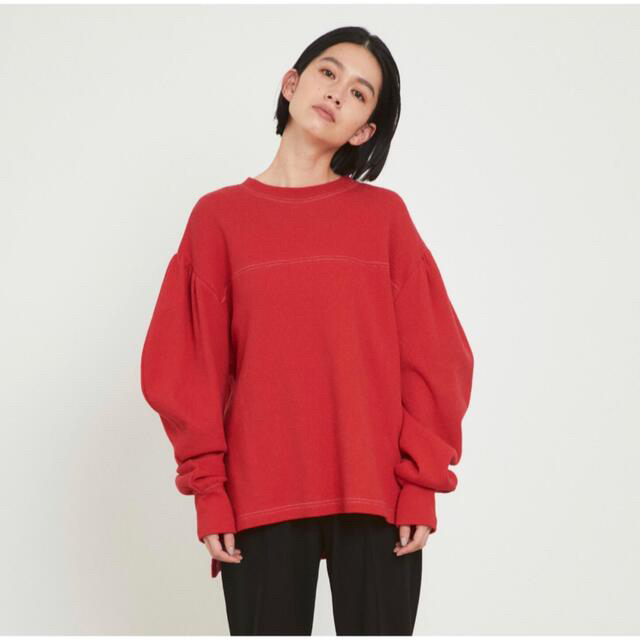 HeRIN.CYE(ヘリンドットサイ)の【美品】完売HeRIN.CYE ヘリンドットサイBanana sv T レディースのトップス(カットソー(長袖/七分))の商品写真