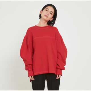 ヘリンドットサイ(HeRIN.CYE)の【美品】完売HeRIN.CYE ヘリンドットサイBanana sv T(カットソー(長袖/七分))