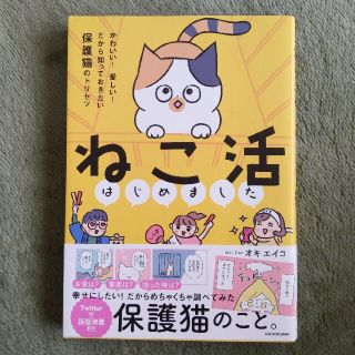 カドカワショテン(角川書店)のねこ活はじめました かわいい！愛しい！だから知っておきたい保護猫のトリ(その他)