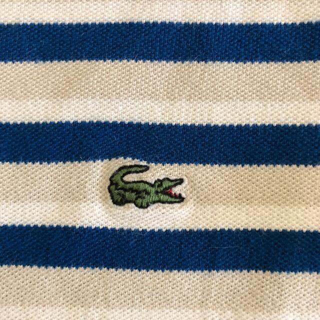 LACOSTE(ラコステ)のラコステ　Tシャツ　レディース38 レディースのトップス(Tシャツ(半袖/袖なし))の商品写真