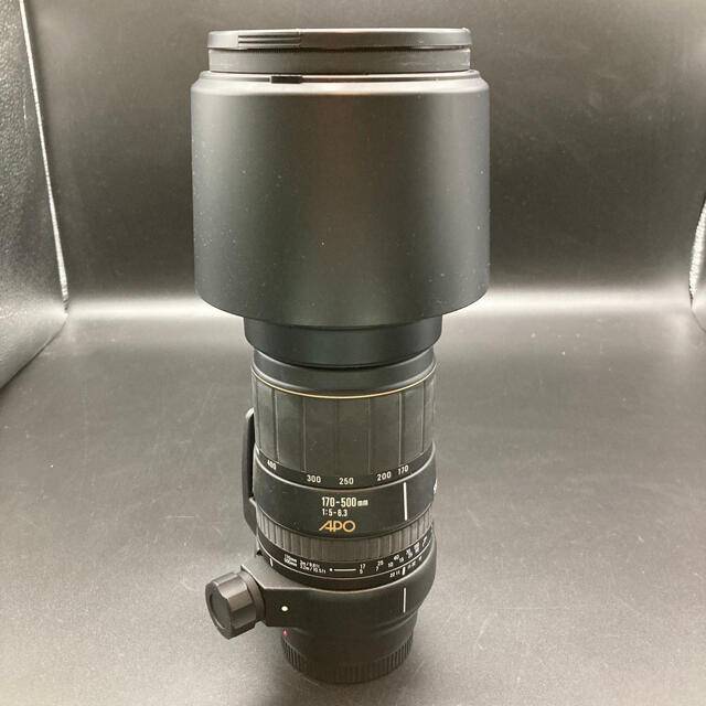 送料無料】 望遠レンズ シグマ SIGMA - SIGMA 170-500mm APO 1:5-6.3