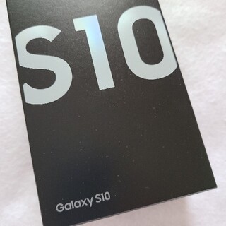 Galaxy　S10付属品⭐(ヘッドフォン/イヤフォン)